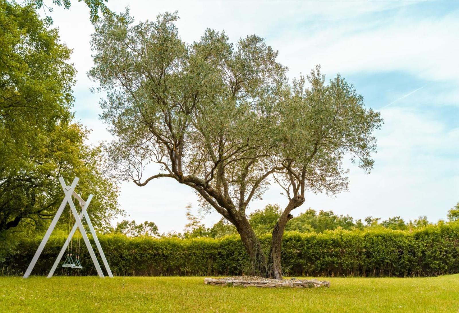 Luxury Villa In Istria - 9,000 Sqm Private Estate With Pool & Sauna, 15 Min To Sea, Near Fazana, 3 Bedrooms Jursici Exterior photo